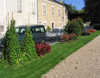 Le jardin de la Lgion d'Honneur